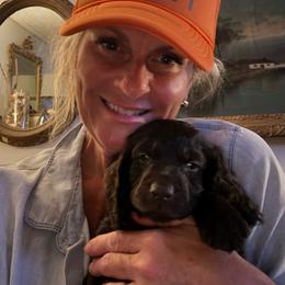 Little Boy 3 - Dark brown male Boykin Spaniel puppy in Bowling Green, Kentucky from Drakes Creek Boykins LLC