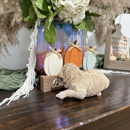 Girl 3 - Cream female Poodle puppy in Town Creek, Alabama from Charming Country Poodles