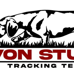Dachshund Puppies from Von Stutts Tracking Teckels