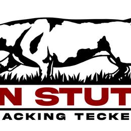 Dachshund Puppies from Von Stutts Tracking Teckels