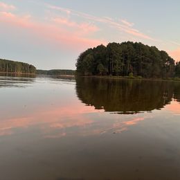 Girl 3 - Red  female Goldendoodle puppy in Graham, North Carolina from Geise Meadow Doodles