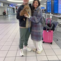 Assorted Doodle Crosses, Aussiedoodle, Australian Shepherd, Long Haired Weimaraner, Shihpoo, and Shih Tzu Puppies from Rockiń N Kennel