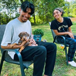 Doberman Pinscher Puppies from Ranchers Companion Doberman Kennel