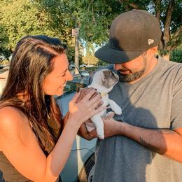 Girl 5 - White and fawn French Bulldog puppy in Redlands, California from You Winnie Some (Winnie's Blues & Lilacs)