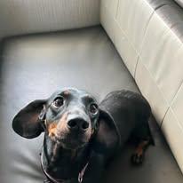 Tilly