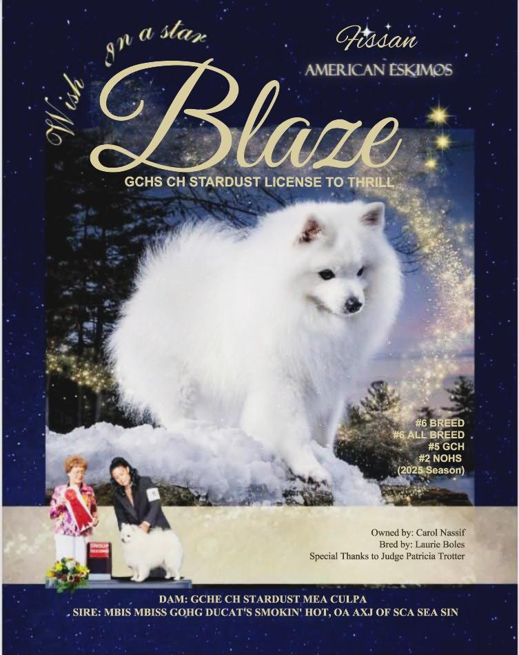 Blaze