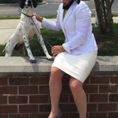 Pointers from Cumbrian Kennel