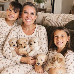 Goldendoodle Puppies from Carmel Classy Doodles