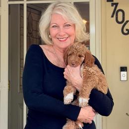 Faith - Apricot Parti Teddy Bear Mini Goldendoodle Girl - Parti female Goldendoodle puppy in Lancaster, California from Kid's Best Doodle