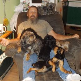 Brussels Griffons from ET's BG's!