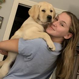 Labrador Retriever Puppies from Flashylabs  AKC GR CHAMPION SIRED