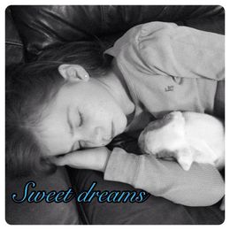 Bulldog and French Bulldog Puppies from Crystals Bulldog Bungalow