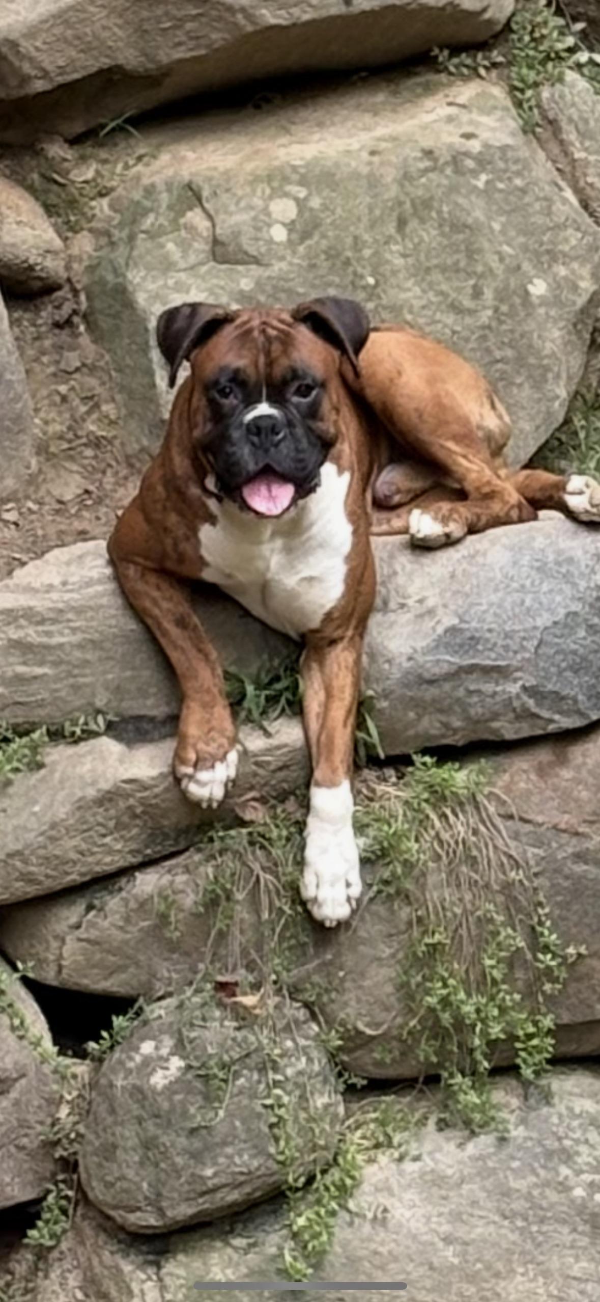 Ruger