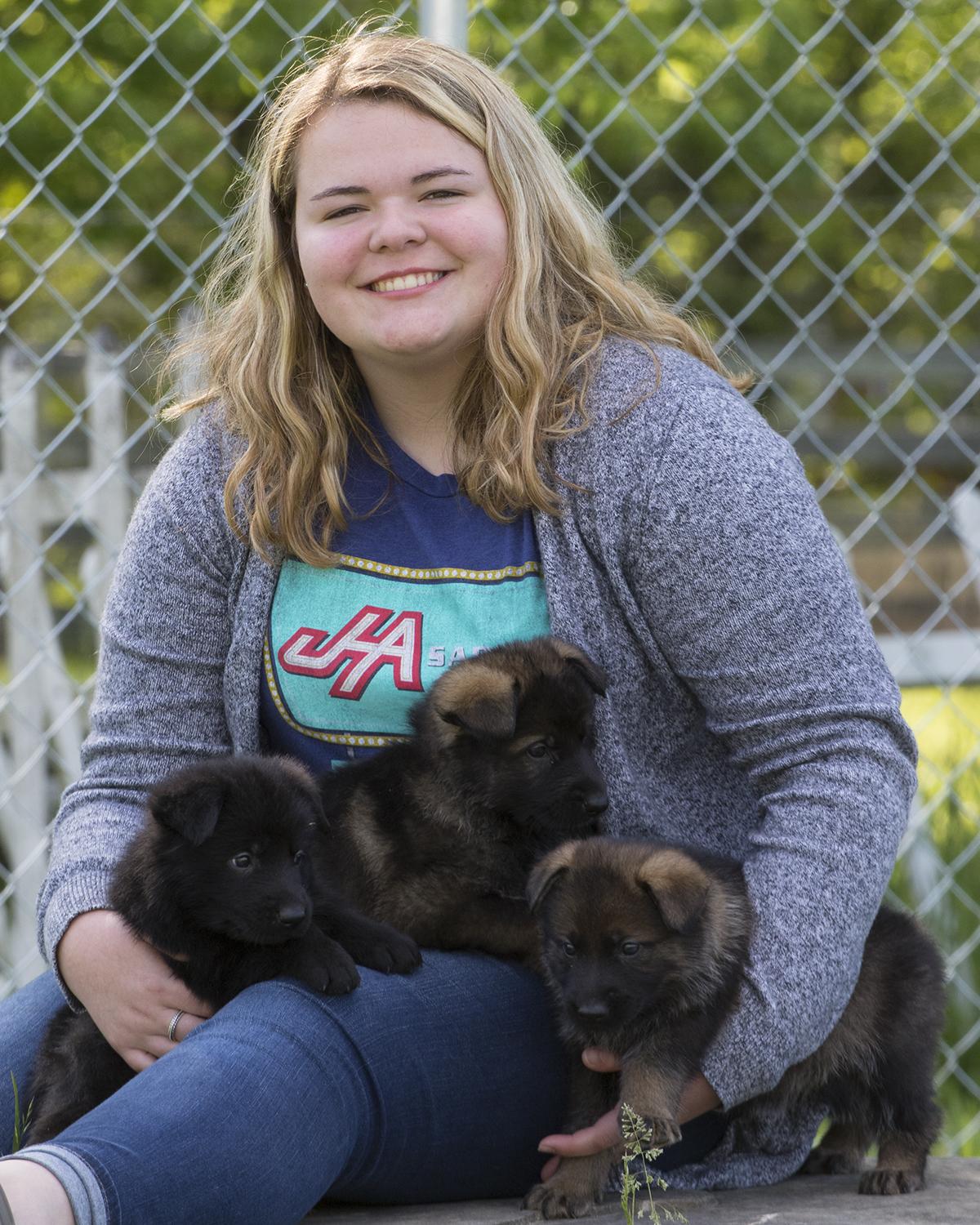 4B Kennels in Kentucky German Shepherd puppies Good Dog