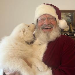 Samoyed Puppies from Better’s Samoyeds
