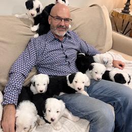 Male Pet Placement 2 - Gray and white male Old English Sheepdog puppy in Tulsa, Oklahoma from Yadah Sheepdogs