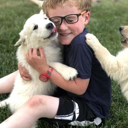 Golden Retriever Puppies from Brightside Goldens