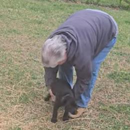 Bagheera - Black female German Shepherd puppy in Waldorf, Maryland from Haus Atreus German Shepherds