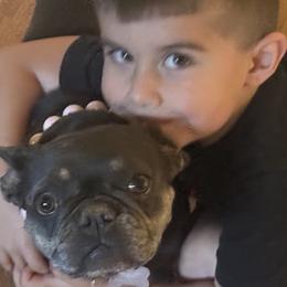 French Bulldogs from Little Loaf Frenchie