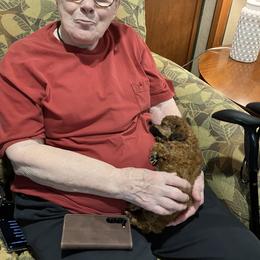 Goldendoodle and Poodle Puppies from South Sound Doodles