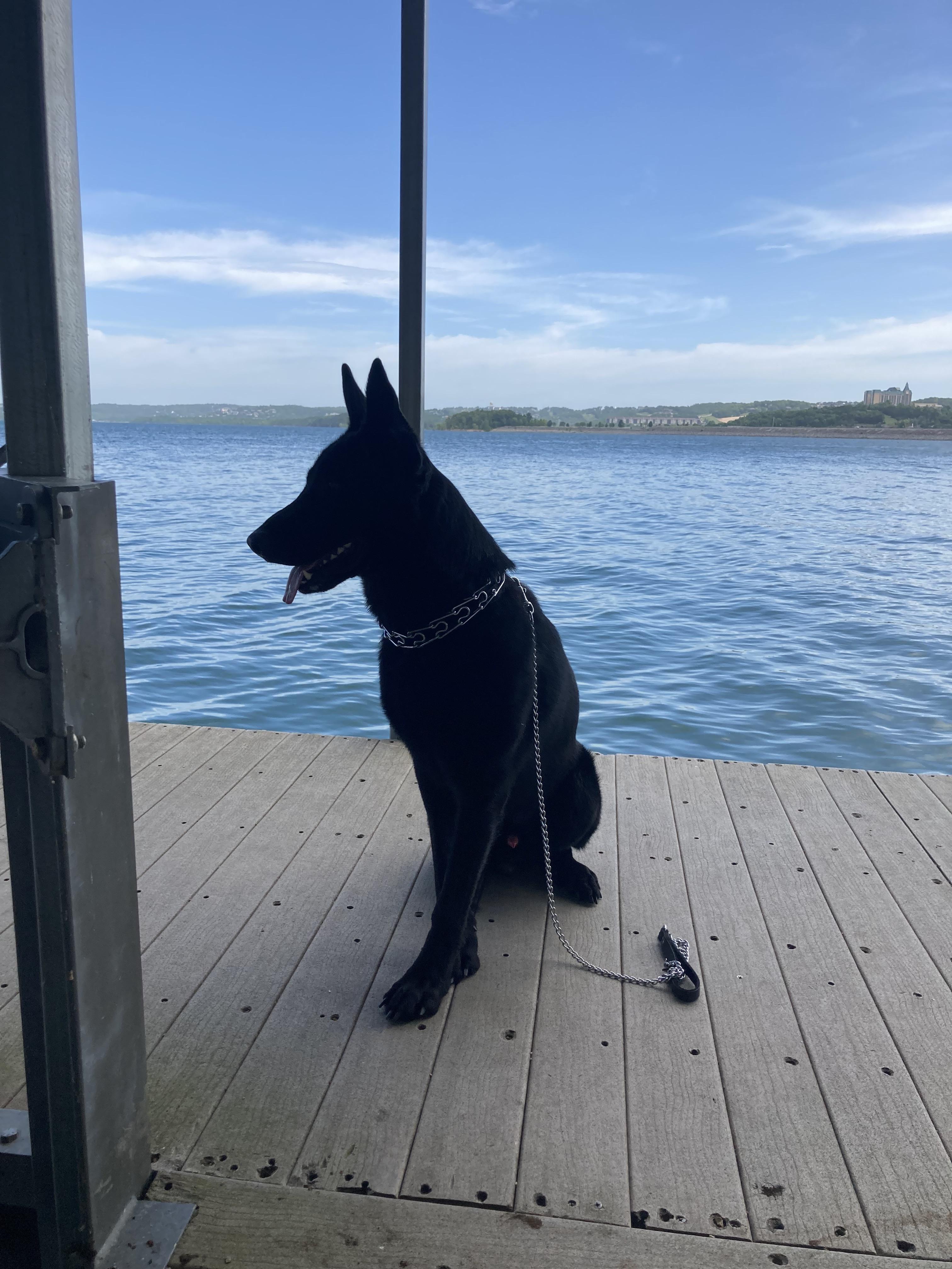 Gunner