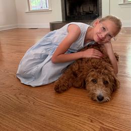 Savannah - Red female Labradoodle puppy in Travelers Rest, South Carolina from Doodles of Love Labradoodles