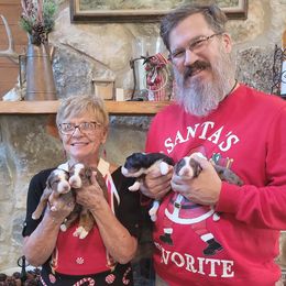Bernedoodle and Sheepadoodle Puppies from Texas Hill Country Sheepadoodles & Bernedoodles