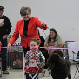Poodle Puppies from Lacy Lane Poodles