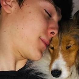 Shetland Sheepdogs from Leigh Hi Shelties