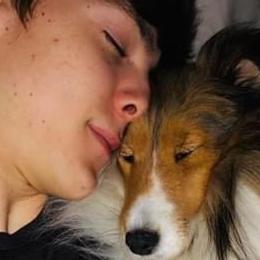 Shetland Sheepdogs from Leigh Hi Shelties