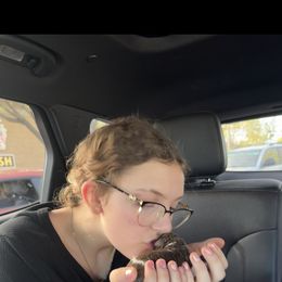 Lagotto Romagnolo Puppies from Anna’s Lagottos