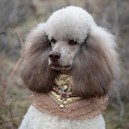 Vesper - Poodle