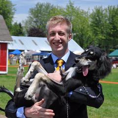 Saluki Puppies from Kushiel Salukis
