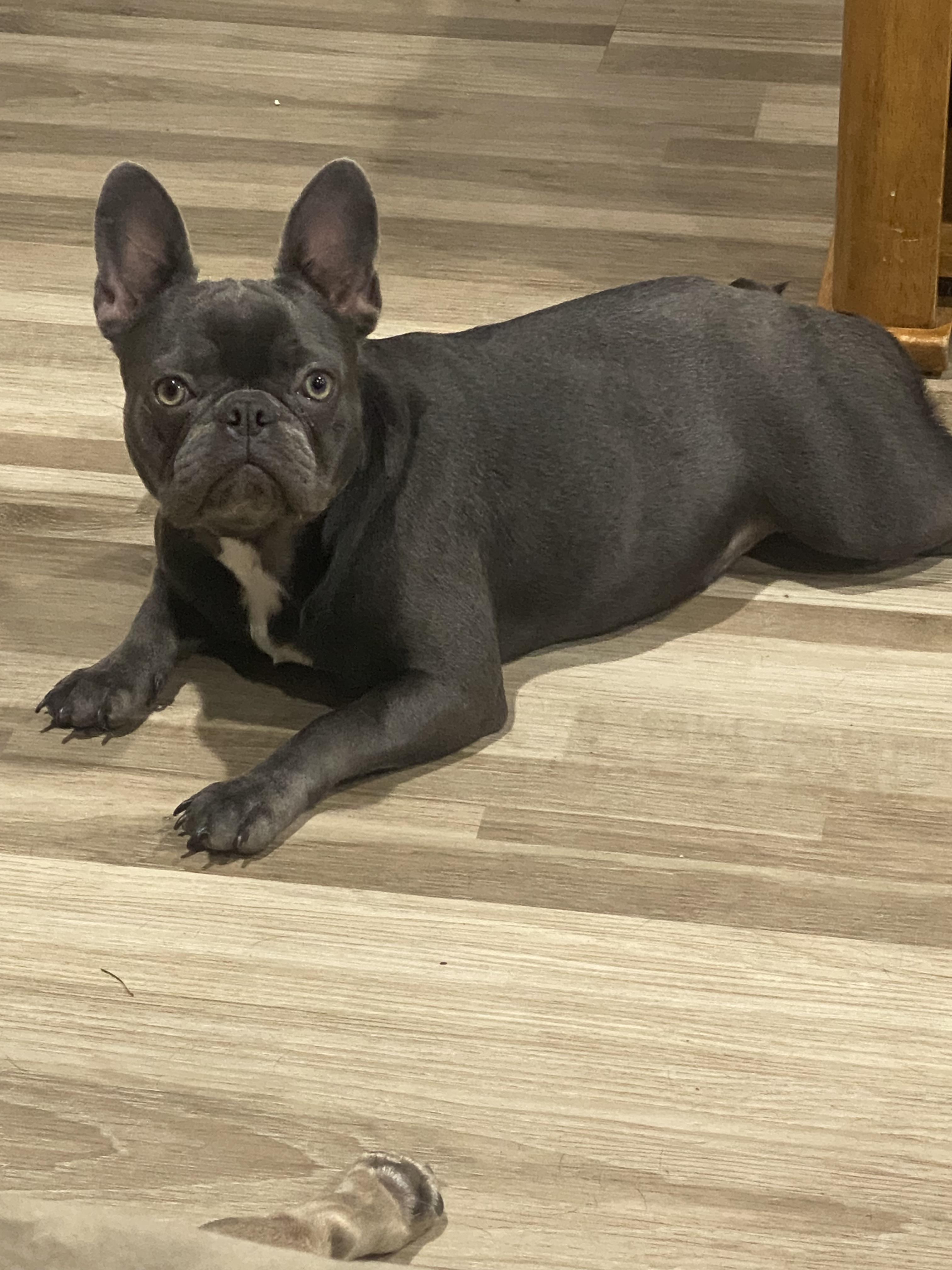 Millie