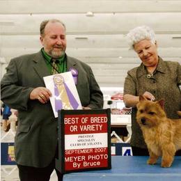 Norfolk Terriers and Norwich Terriers from Infinity Kennels