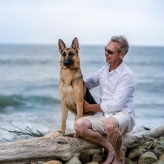Dublin - German Shepherd