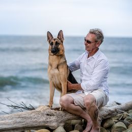 Dublin - German Shepherd