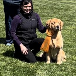 Golden Retriever All Grown Up from Insignia Goldens