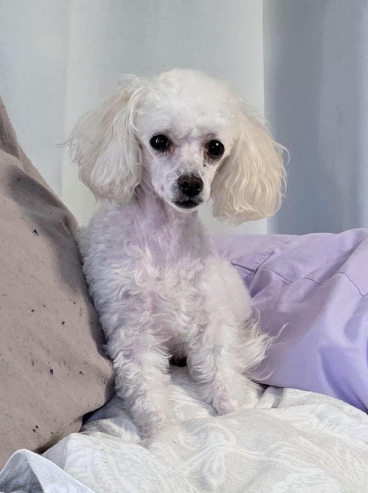 Winnie
