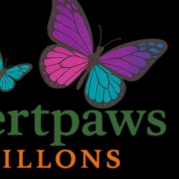 Papillons from Desertpaws Papillons