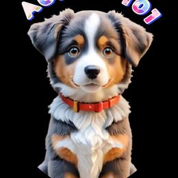 Miniature Australian Shepherds from Aussies 101