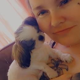 Champ - Shih Tzu