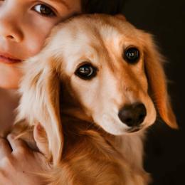 Annie - Dachshund