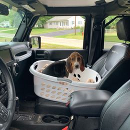 Treeing Walker Coonhound Puppies from Stackem Up Kennel