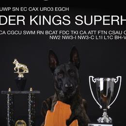 Bluetick Coonhounds and Dutch Shepherds from Guardian K9s