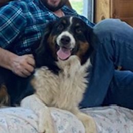 Australian Shepherds from Hawk Hill Australian Shepherds