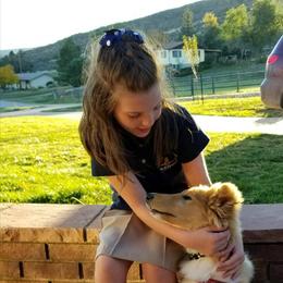 Collie Puppies from Maclen Collies