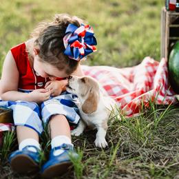 Basset Hound Puppies from Greene Acres Bassets
