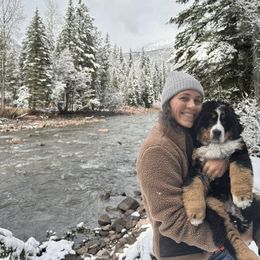 Bernese Mountain Dog Puppies from Swiss Berner Bears
