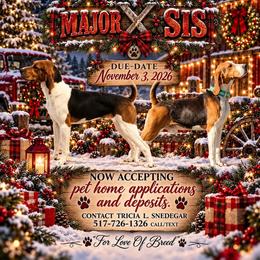 Treeing Walker Coonhound puppies from Stackem Up Kennel